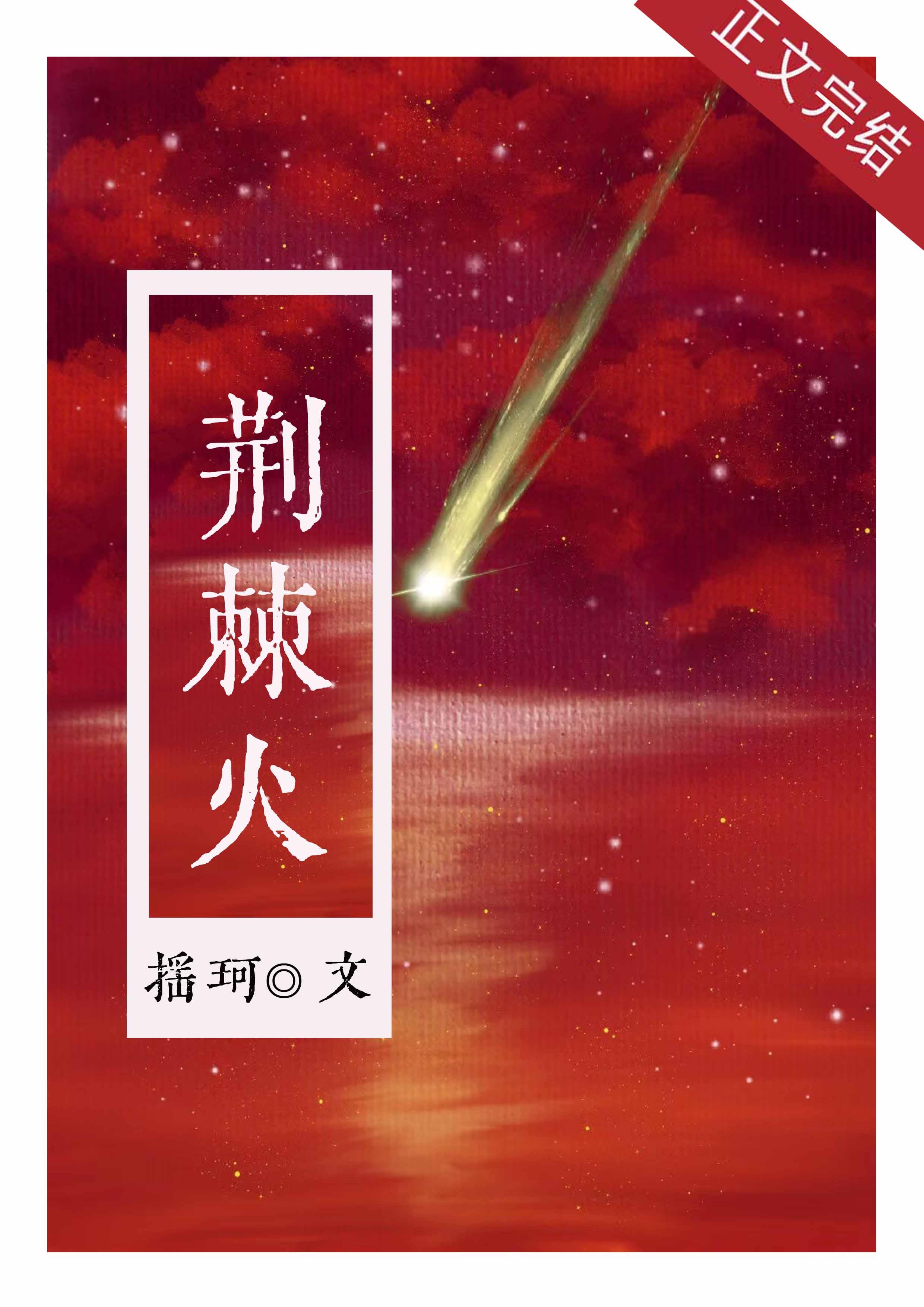 荆棘火封面