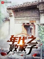 年代之败家子封面