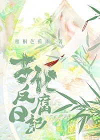 古代反腐日记封面