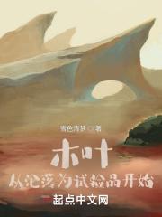 木叶：从沦落为试验品开始封面