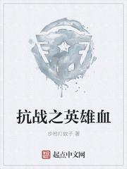 抗战之英雄血封面