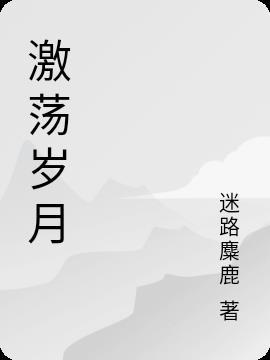 激荡岁月封面