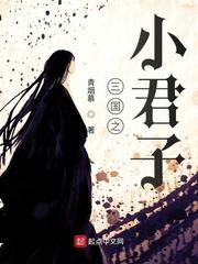 三国之小君子封面