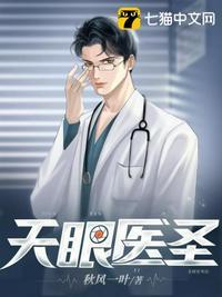 天眼医圣封面