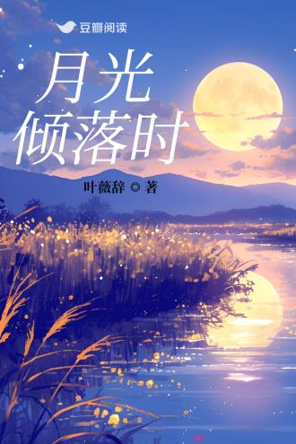 月光倾落时封面