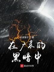 在广袤的黑暗中封面