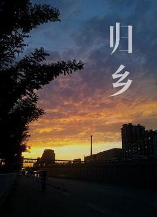 归乡封面
