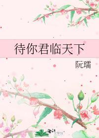 待你君临天下封面