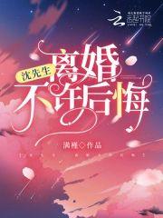 沈先生,离婚不许后悔封面