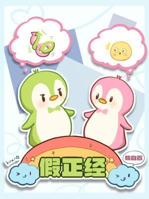 假正经封面