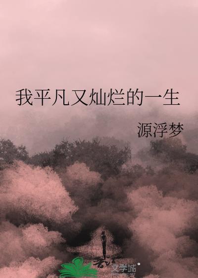 我平凡又灿烂的一生封面