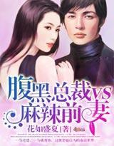 腹黑总裁vs麻辣前妻封面