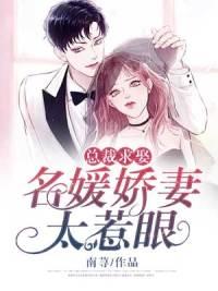 盛莞莞凌霄封面
