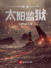我的太阳监狱封面