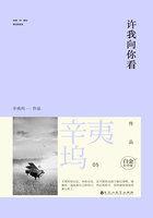 许我向你看封面