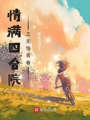 情满四合院之无悔青春封面