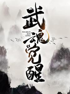 武魂觉醒封面