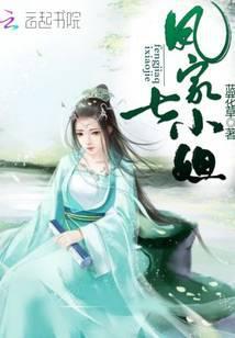 凤家七小姐封面