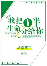 我把一半生命分给你封面