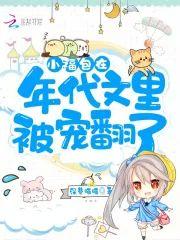 小福包在年代文裏被宠翻了封面