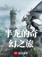 半龙的奇幻之旅封面
