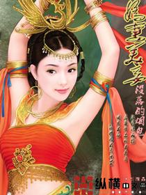娇妻美妾封面