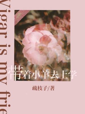 带着小羊去上学封面