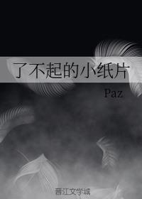 了不起的小纸片封面
