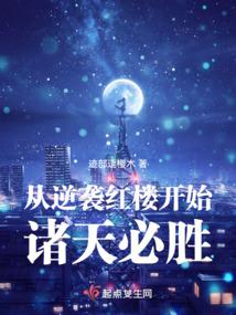 从红楼开始打穿诸天封面