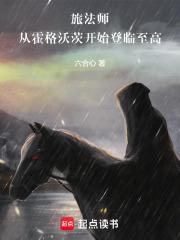 旅法师：从霍格沃茨开始登临至高封面