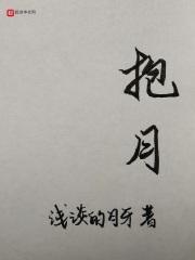 抱月封面