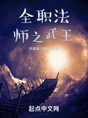 全职法师之武王封面
