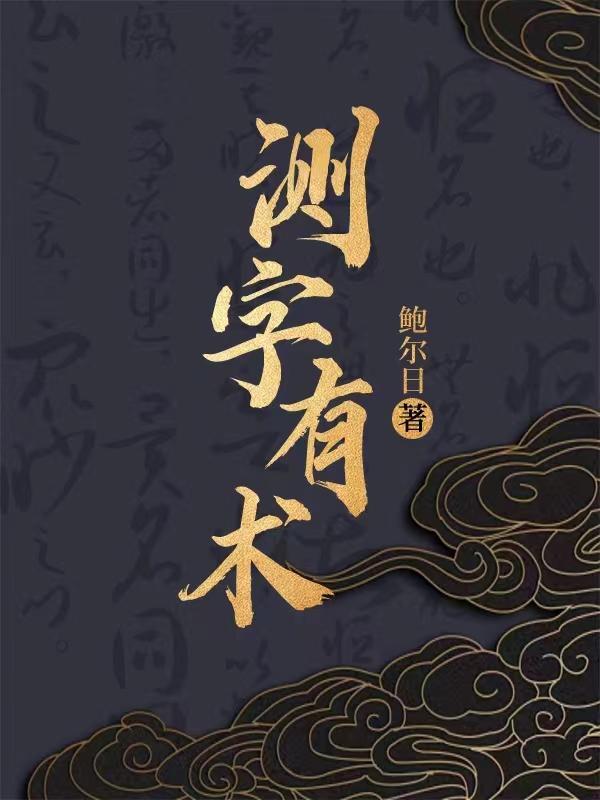 测字有术封面