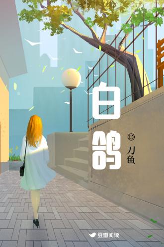 白鸽封面