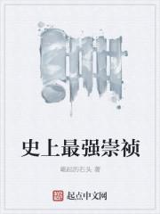 史上最强崇祯封面
