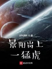 景阳岗上一猛虎封面