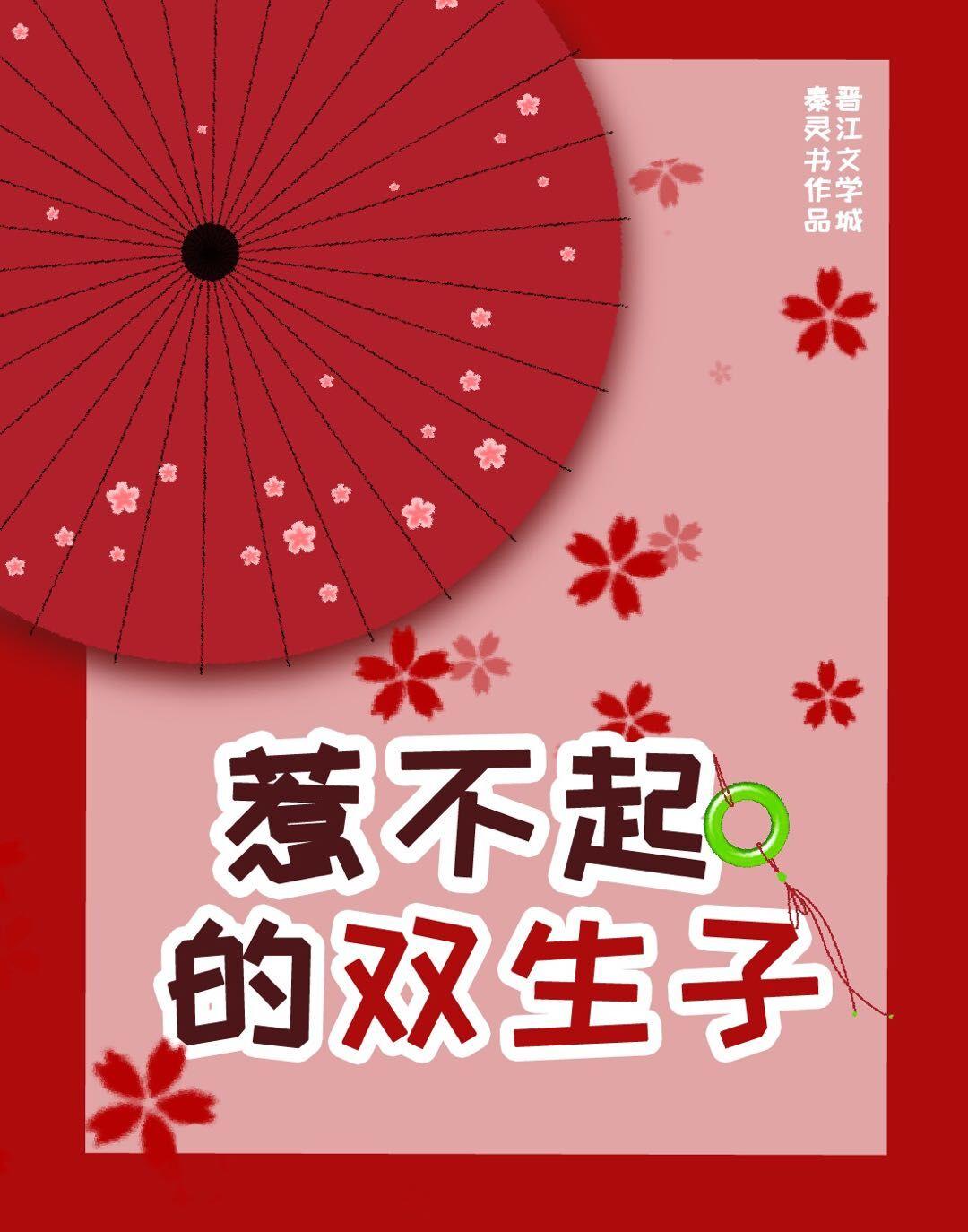 惹不起的双生子封面