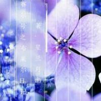 赛尔号之布莱尔封面