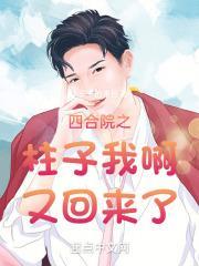 四合院之柱子我啊又回来了封面