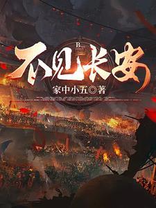 不见长安封面
