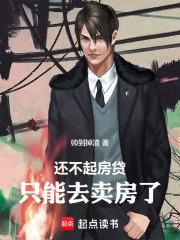 还不起房贷，只能去卖房了封面