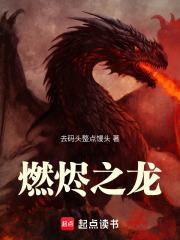 燃烬之龙封面