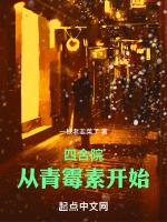 四合院：从青霉素开始封面