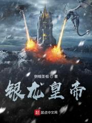 银龙皇帝封面