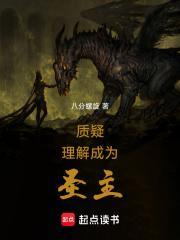 质疑,理解,成为圣主封面