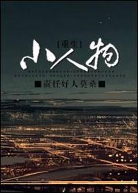 小人物[重生]封面