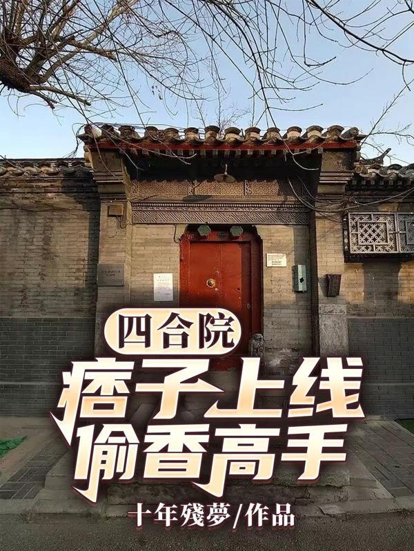 四合院:痞子上线,偷香高手封面