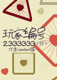 [综]玩家编号2333333封面