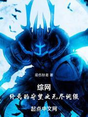 综网:终焉的守望之无尽词缀封面