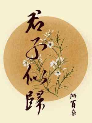君子似归封面